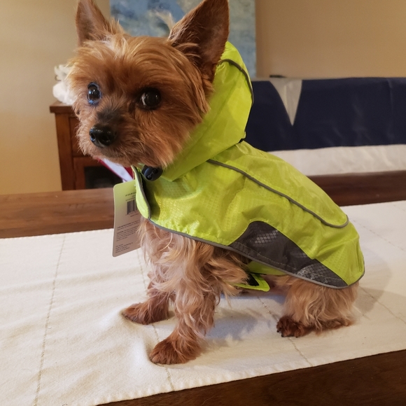 Reflective Dog Hooded Rain Jacket S - Picture 6 of 16